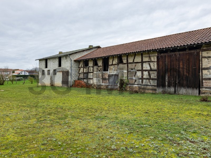 Maison à Attignat (01340)