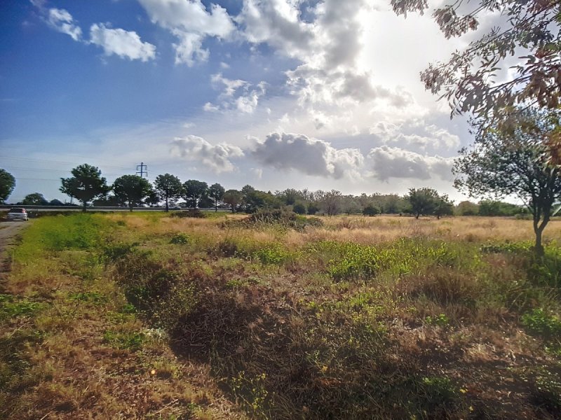 Terrain à Saint-André (66690)