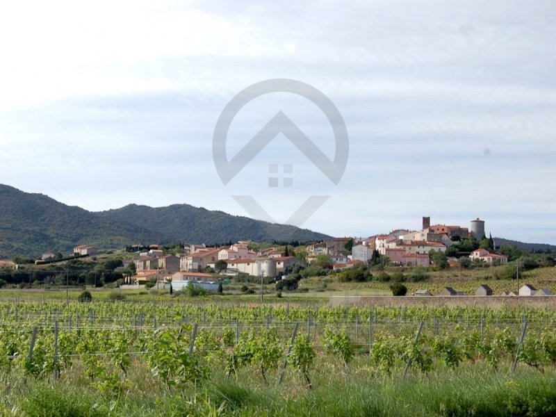 Terrain à Montner (66720)