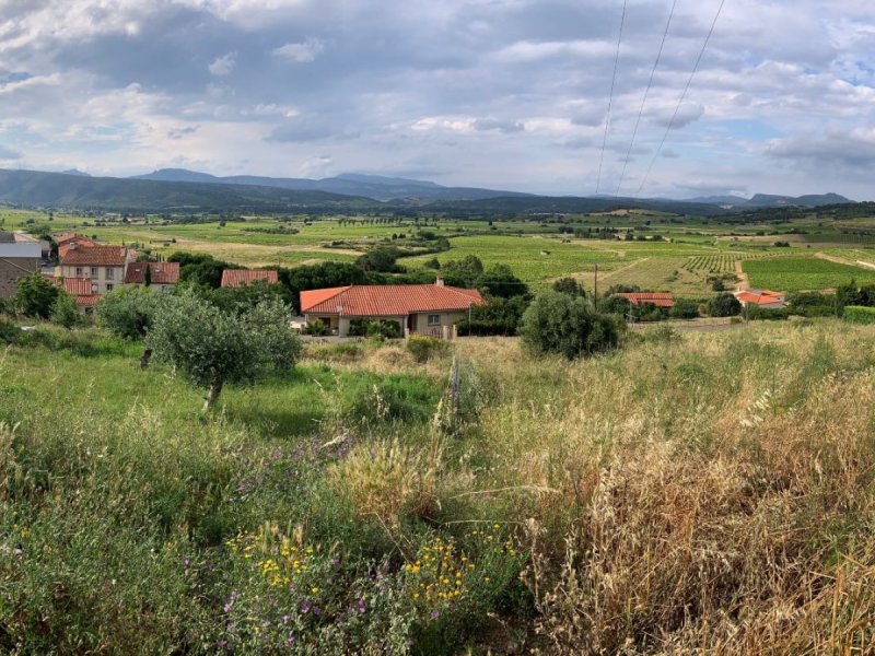 Terrain à Montner (66720)