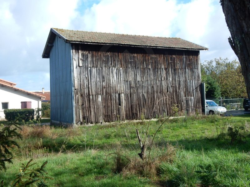 Maison à Langon (33210)
