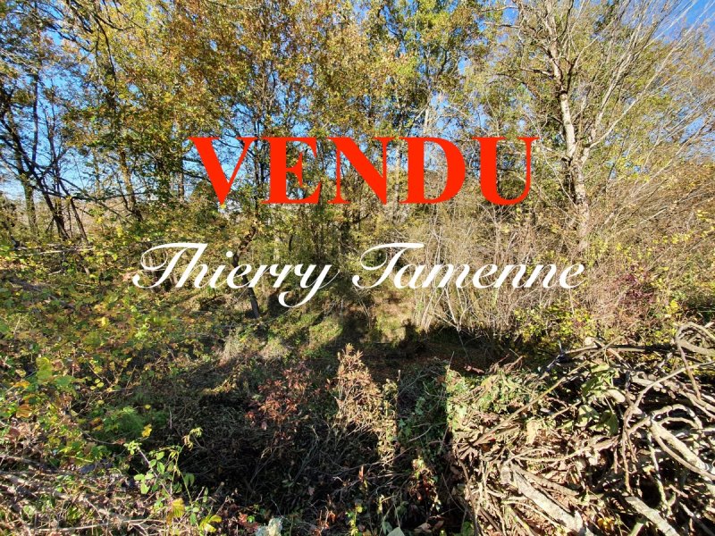Terrain à Vianne (47230)