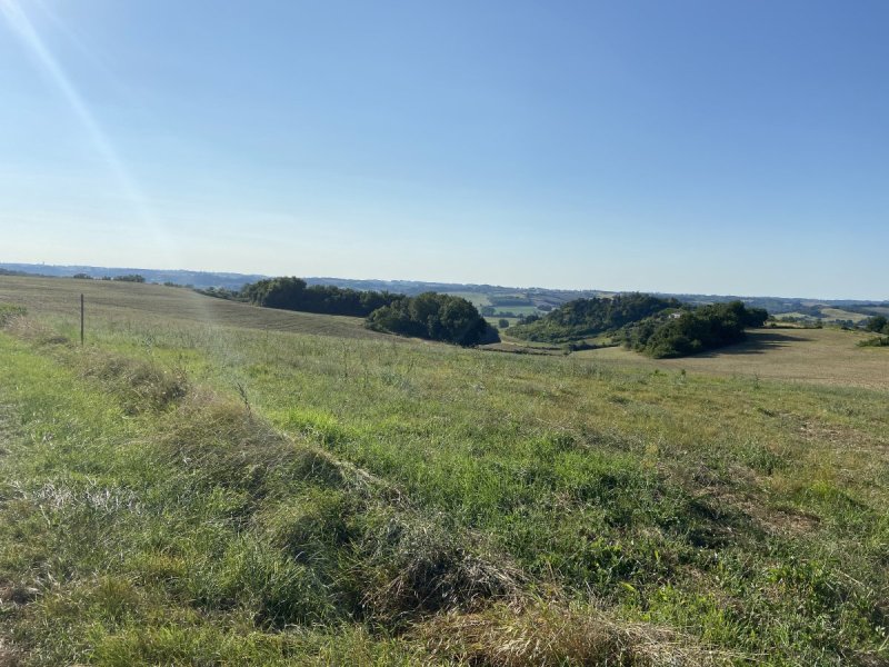 Terrain à Saint-Paul-D'espis (82400)