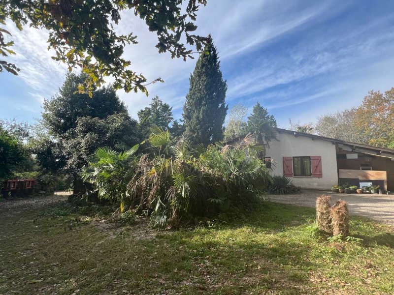 Maison à Villeneuve-Sur-Lot (47300)