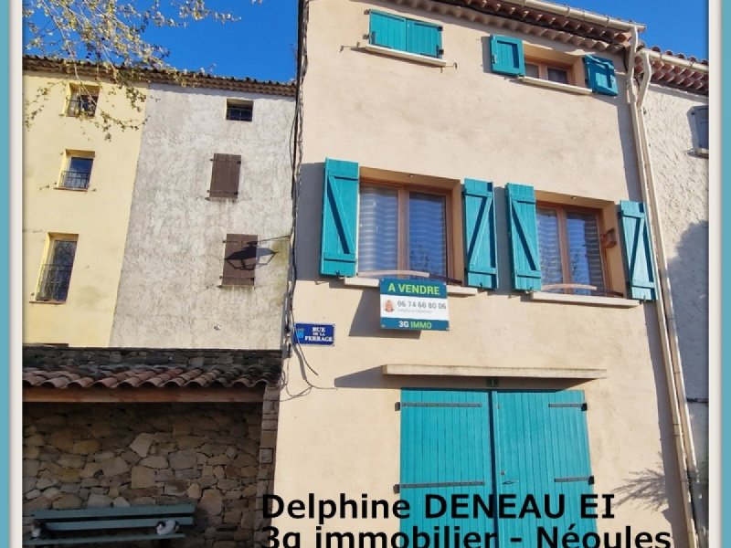 Maison à Néoules (83136)