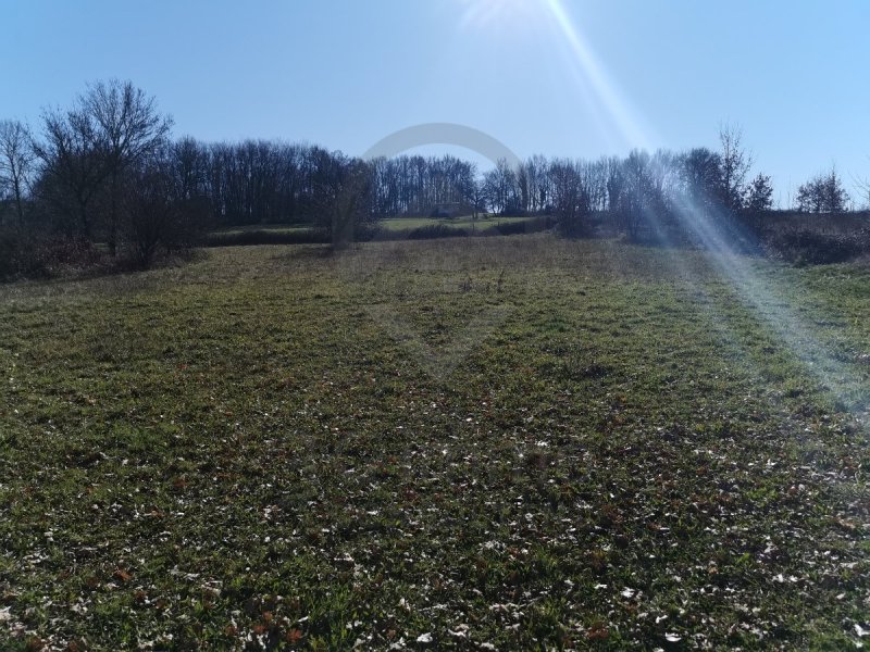 Terrain à Labruguière (81290)