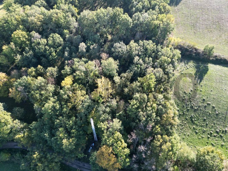 Terrain à Puylaurens (81700)