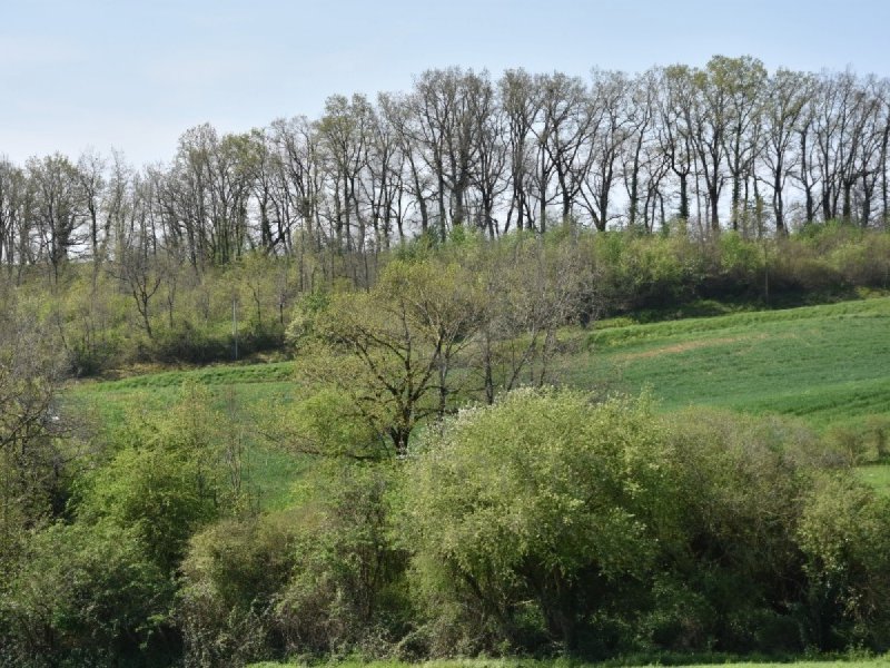 Terrain à Dénat (81120)