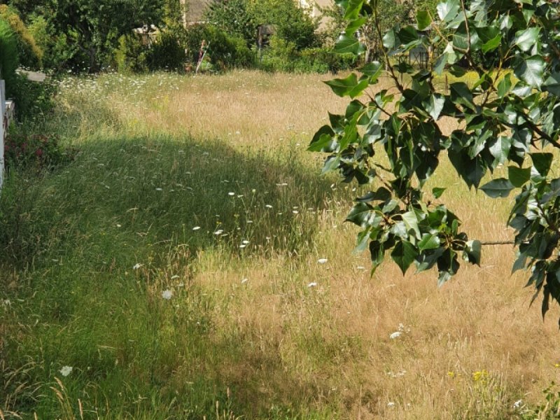 Terrain à Arthès (81160)