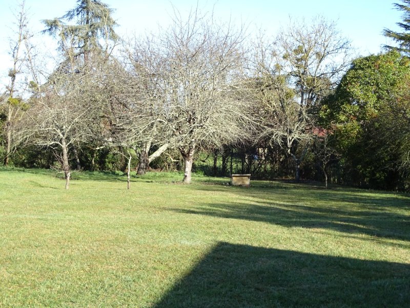 Terrain à Mirande (32300)