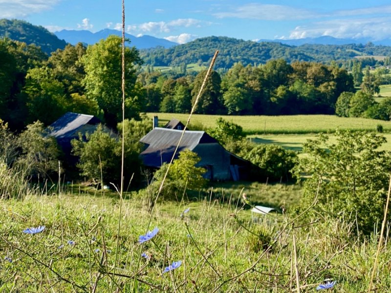 Maison à Monein (64360)