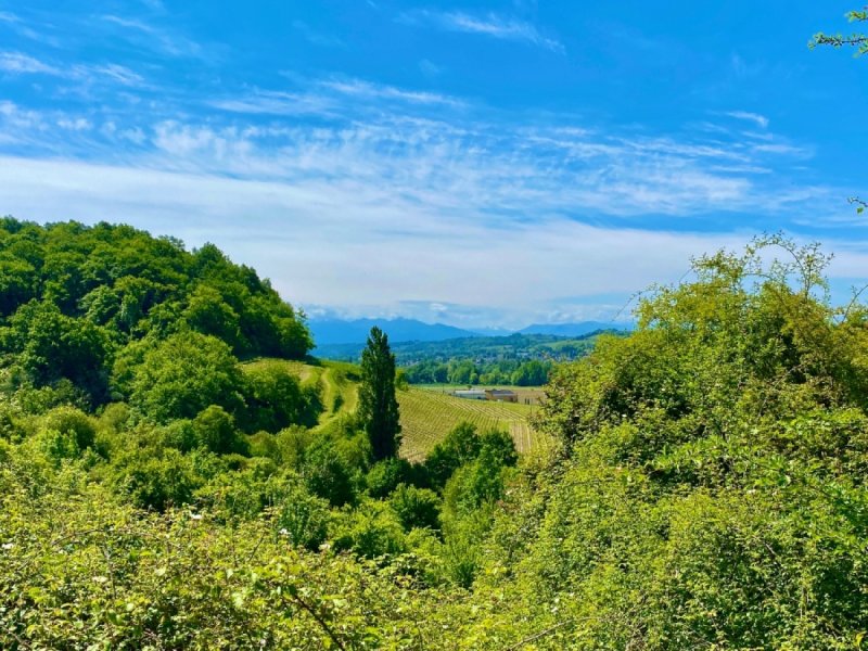 Terrain à Monein (64360)