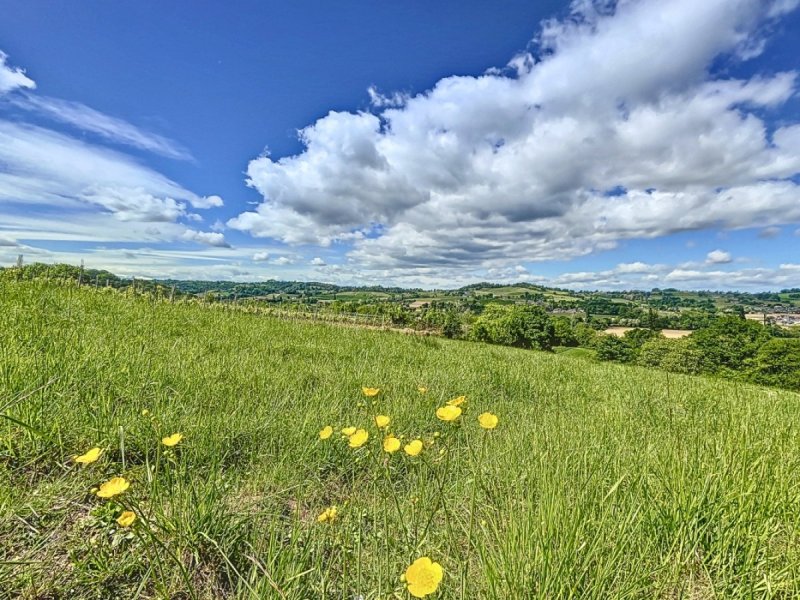Terrain à Monein (64360)