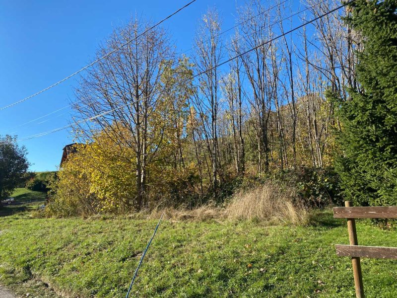 Terrain à Habère-Poche (74420)