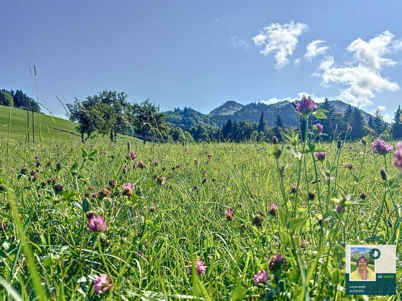 Terrain à Bellevaux (74470)