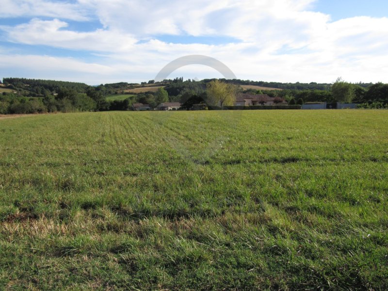 Terrain à Roquecourbe (81210)