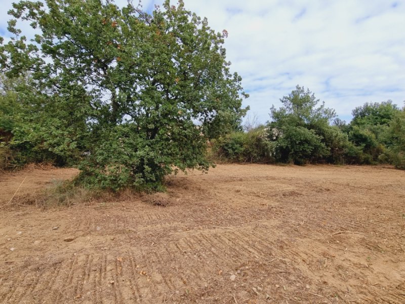Terrain à Deaux (30360)