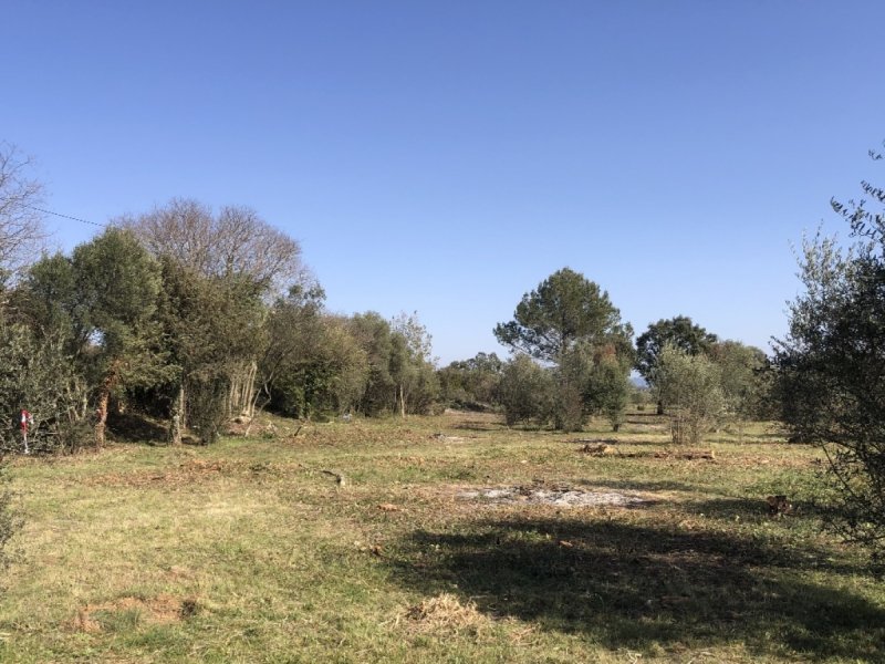 Terrain à Sanilhac-Sagriès (30700)