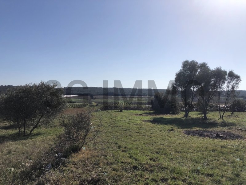 Terrain à Sanilhac-Sagriès (30700)