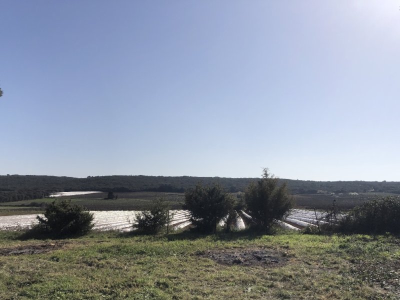 Terrain à Sanilhac-Sagriès (30700)