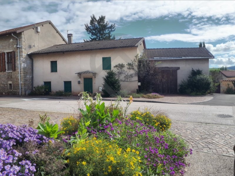 Maison à Saint-Vulbas (01150)