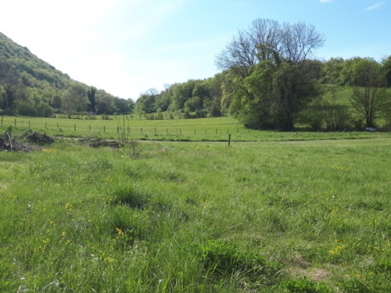 Terrain à Briord (01470)