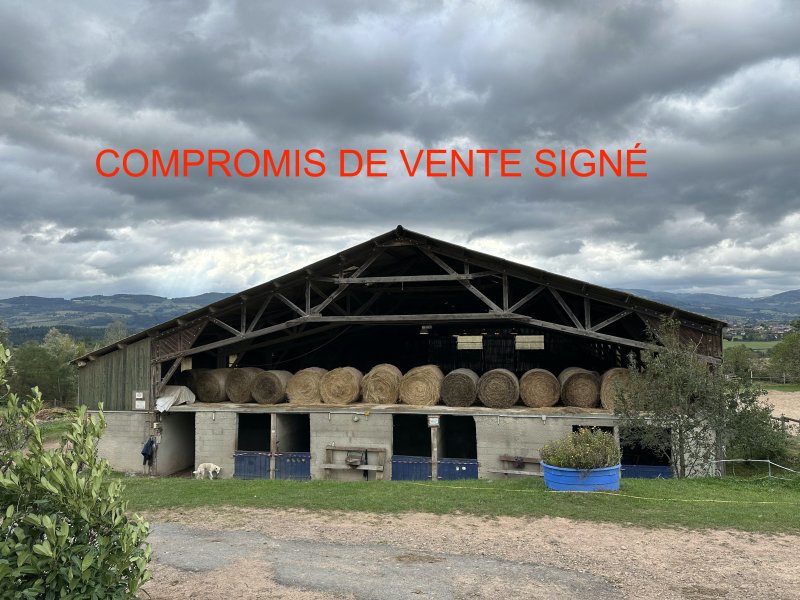 Propriété équestre à Roanne (42300)