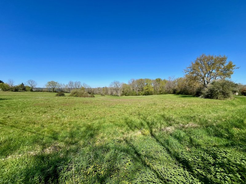 Terrain à Bazas (33430)