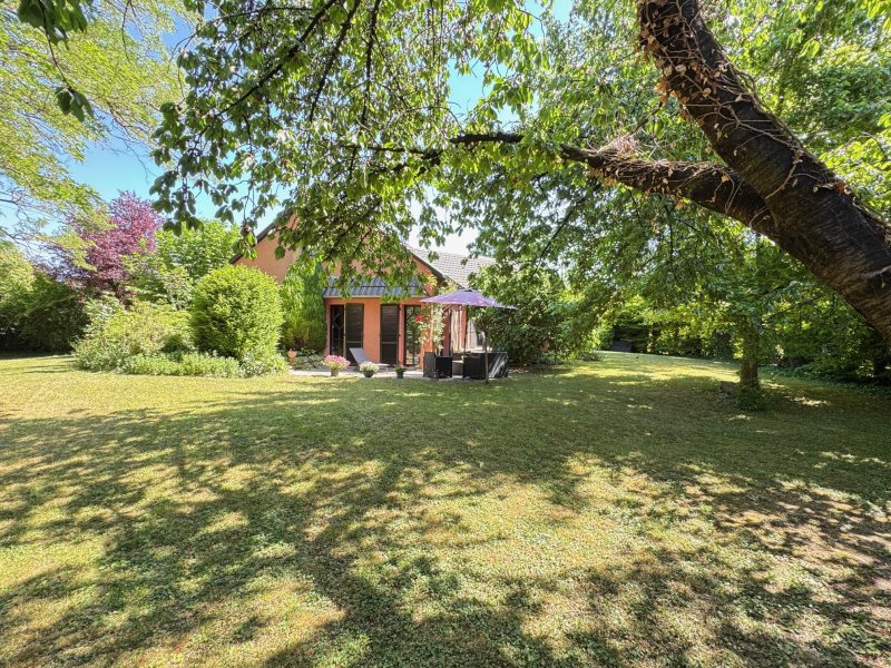 Maison à Muntzenheim (68320)