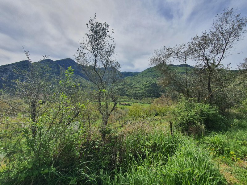 Terrain à Sospel (06380)