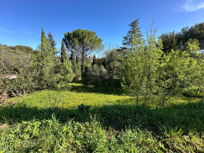 Terrain à Margon (34320)
