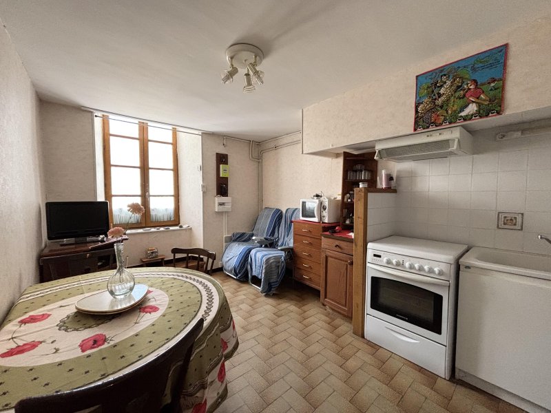 Appartement à Saint-Jean-Du-Bruel (12230)