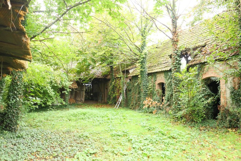 Maison à Logelheim (68280)